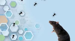 Florida is a paradise many are lucky to call it is important to be proactive against unwanted guest to better insure your property and health. Cape Coral Pest Control