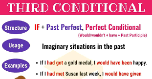 The Third Conditional Conditional Sentences Type 3 Structure Examples Conditional Sentence Types Of Sentences Sentences