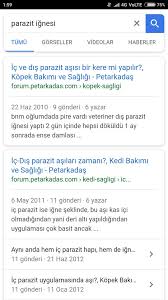 Evde Kedi Bakimi Nasil Olur Ilk Sorcev