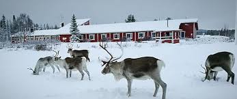 Die nordlichter sind zwar in vielen ländern zu sehen, doch im norden von finnland habt ihr auf jeden fall eine der besten chancen, diese zu bewundern. Silvester In Lappland Hotel Seita Akaslompolo Finnland