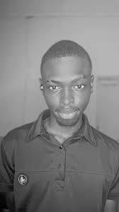 Elantra N car color preferences