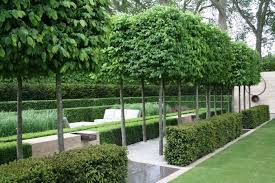Hecke Im Garten Formenauswahl Und Hilfreiche Pflegetipps Garten Garten Gestalten Gartengestaltung