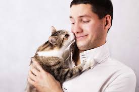 Legends abound about pets sniffing out a body part where a cancerous tumor is later owners report that their cats attempt to massage their heads while suffering a migraine. Nose It All How Cats Communicate With The Nose Fear Free Happy Homes