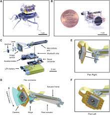 Magnetic field b in microtesla you can use this app to measure and study magnetism and electromagnetism, the earths geomagnetic field and more. Wireless Steerable Vision For Live Insects And Insect Scale Robots Science Robotics