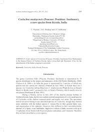 Image result for Coelachne