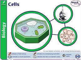 Maybe you would like to learn more about one of these? What Is A Cell Online Presentation