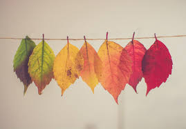 Shop designer men's and women's clothing, shoes & accessories with worldwide delivery. What Autumn Tells Us About Life And Work There S A Time To Bring Something Good To An End Sheridan Voysey