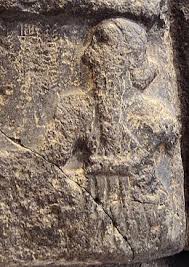 Camels have long been domesticated and, as livestock, they provide food (milk and meat) and textiles (fiber and felt from hair). Sargon Of Akkad Wikipedia
