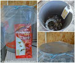 Without fail, when the warm weather comes so do the flies, ants, mosquitoes and wasps. Controlling Aphids With No Pest Strips