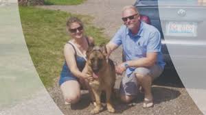 Find dogs and puppies for sale, near you and across australia. Find Akc Ipo Schutzhund West German Shepherd Puppies For Sale Top Gsd Breeders Chicago Il Youtube