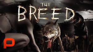 Grave Encounters Full Movie Horror Indie Youtube