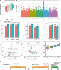 Ll➤ 【€1 = lei4.9267】 euro in leu românesc. Natural Variation Of Bsk3 Tunes Brassinosteroid Signaling To Regulate Root Foraging Under Low Nitrogen Nature Communications