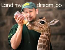 Be A Zookeeper Baby Giraffe Giraffe Wild Animals Photos