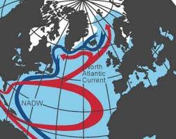Per la precisione viaggiano nella. Corrente Del Golfo Trovate Le Prove Del Rallentamento Scienze Notizie