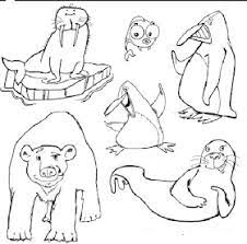 Astfel, micutul tau se poate bucura de o plansa numai buna de. Fise De Lucru Cu Animale De La Poli Google Search Female Sketch Art Humanoid Sketch