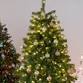 Festival of Trees event image
