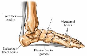 Pin On Pt Foot Ankle