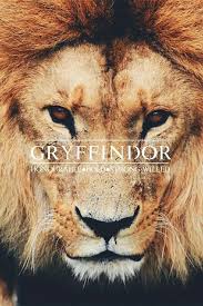 Gryffindor Harry Potter And Hogwarts Image Harry Potter Background Harry Potter Wallpaper Gryffindor Aesthetic