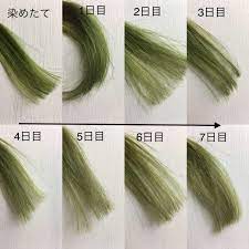 エブリカラートリートメントの1週間の色落ちを検証 永久保存版 ヘアカラー特化型 blog harfarve