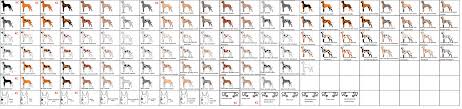 Great Dane Color Chart The Great Daness Coat Colors