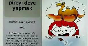 Pireyi Deve Yapmak Deyimler Egitim Ortaokul