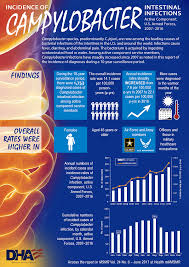 Incidence Of Campylobacter Intestinal Infections Active