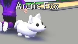 Roblox protocol in the dialog box above to join games faster in the future! Adopt Me On Twitter If An Arctic Fox Could Sit Would It Sit Like This Or Like That