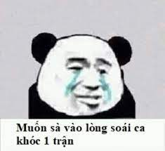 Muốn sà vào lòng soái ca khóc 1 trận - Baozou Manhua meme - Meme Gấu trúc Trung Quốc | Meme Dump | Lục Lọi Meme | Cộng đồng meme trực tuyến