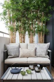 1001 Idees Pour Habiller Un Mur Exterieur Murs Vegetaux Originaux Decoration Balcon Habiller Un Mur Exterieur Et Deco Petit Balcon