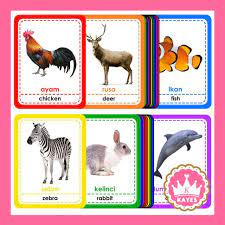 Check spelling or type a new query. Flashcard Binatang Darat Air Udara Alfabet Huruf Angka Hewan Abc 123 Kartu Belajar Flash Card Shopee Indonesia