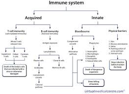 Pin By Lexi Fosland On Science Medical Laboratory Science