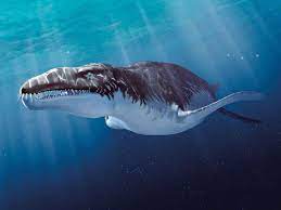 But when people ask the question of how many species have gone extinct, they're usually talking about the number of extinctions in recent history. Ten Exquisite Creatures That Once Roamed The Earth At The Smithsonian Smithsonian Magazine