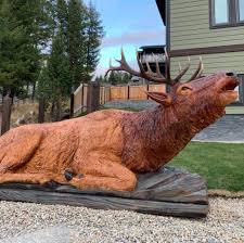 The Bugling Bull Elk It S Over 10ft Saw Valley Ryan Cook Facebook