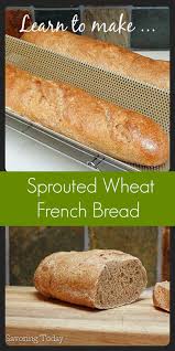 Make Delicious Whole Wheat French Bread At Home With Healthy Sprouted Wheat Flour Recipe Mak Wheat Bread Recipe Wheat French Bread Recipe Sprouted Grain Bread