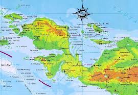 Peta papua untuk mewarnai anak paud. Otsus Melindungi Kepentingan Warga Asli Papua Papua Inside