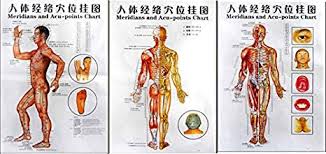 3 Massage Poster Charts Meridians And Acupuncture Human Body Points Chart In Chinese Part English