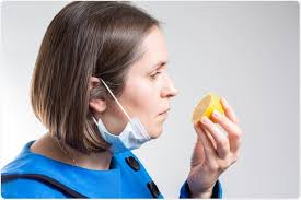Feb 18, 2021 · recovery time varies from patient to patient. Covid 19 And Smell Loss Anosmia