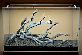 Tiger driftwood can also be used as a central piece in an aquarium with no plants. Aquarium Driftwood Used In Aquascaping Hardscape Essentials Part 3 Aquascaping Love In 2021 Aquarium Driftwood Aquascape Aquarium