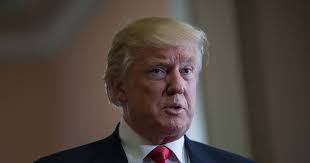 Trans People Rush to Legally Change Gender in Wake of Trump Win