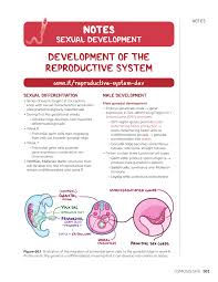 Image result for Sexual Development