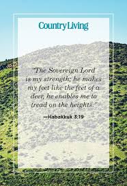 He is the giver of life and good health. 25 Encouraging Bible Verses About Strength Find Healing And Hope