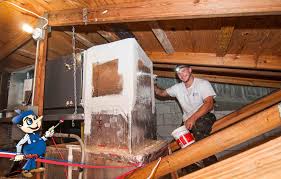 For more on removing a rodent from your ductwork, or to learn about any of our plumbing or hvac services, speak to the staff at my buddy the plumber today. Art Plumbing Ac Electric Ducts And Attics