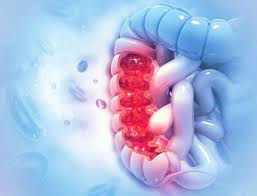 Maybe you would like to learn more about one of these? Le Cancer Du Colon Chez Les Personnes Agees Symptomes Et Prevention Cap Retraite