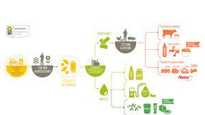 Abera Homepage Abera Branches And Synergies