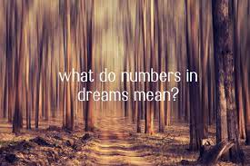 Numerology Numbers In Dreams Numerology Numerology Life Path Dream Meanings