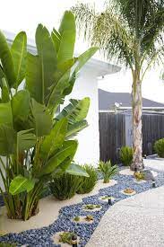 Looking for front yard landscaping tips that won't break the bank? I Used Mexican Pebbles Sand Succulents Cactus A Pumice Rock Bird Of Paradise Queen Palm Tre Tropical Landscape Design Tropical Landscaping Backyard Trees