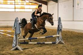 Klassisch geschnitten, doppelt genähter saum. Neuer Kurs Springreiten 3 Rsg Eddersheim A M G V Pferdesport Therapie Main Taunus
