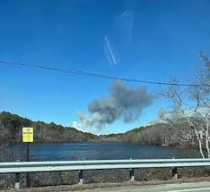 The Work We Do: Lisa Wedel Drozd, Wedel Signs