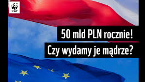 The marshall plan, created in 1947, was an economic aid program meant to strengthen european countries in order to contain communism. Plan Marshalla Na Miare Xxi Wieku Wwf Polska