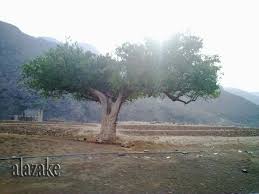 صور من بلادي اليمن المحويت Natural Landmarks Country Roads Nature